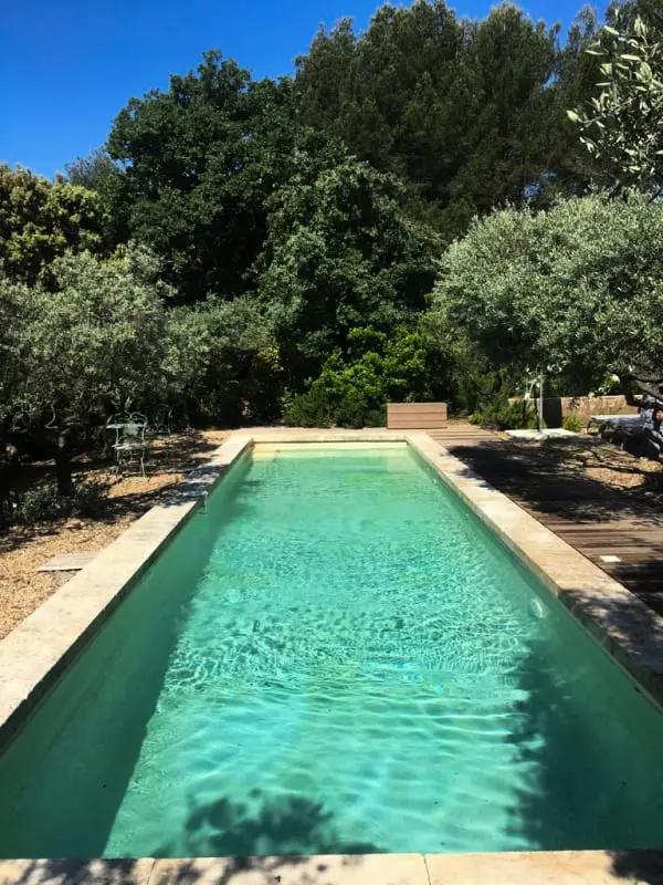 La Matina: Családi béke van egy Olive Garden-ben