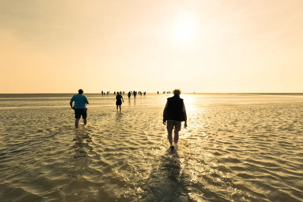 Siblu – Camping Lauwersoog 4 Stelle★★★★