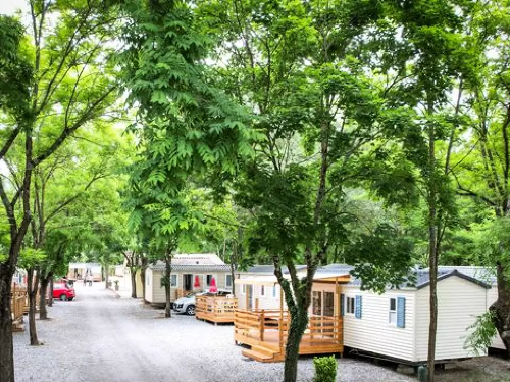 Camping Les Rives D'Auzon 3 étoiles★★★