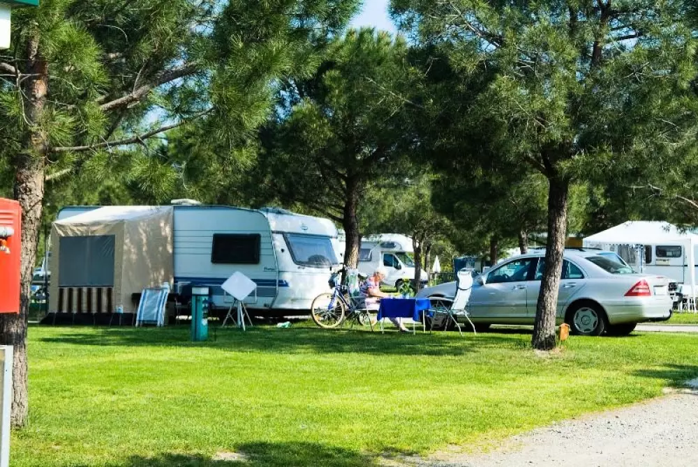 Club del Sole Le Palme Lazise Family Collection 4 Stars★★★★