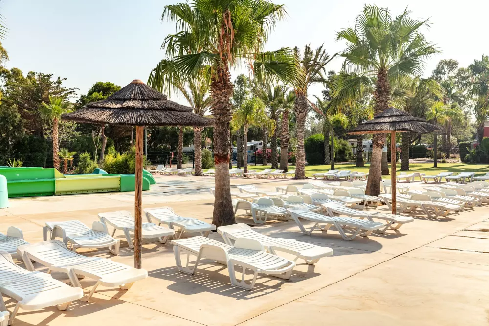 Camping Oasis California