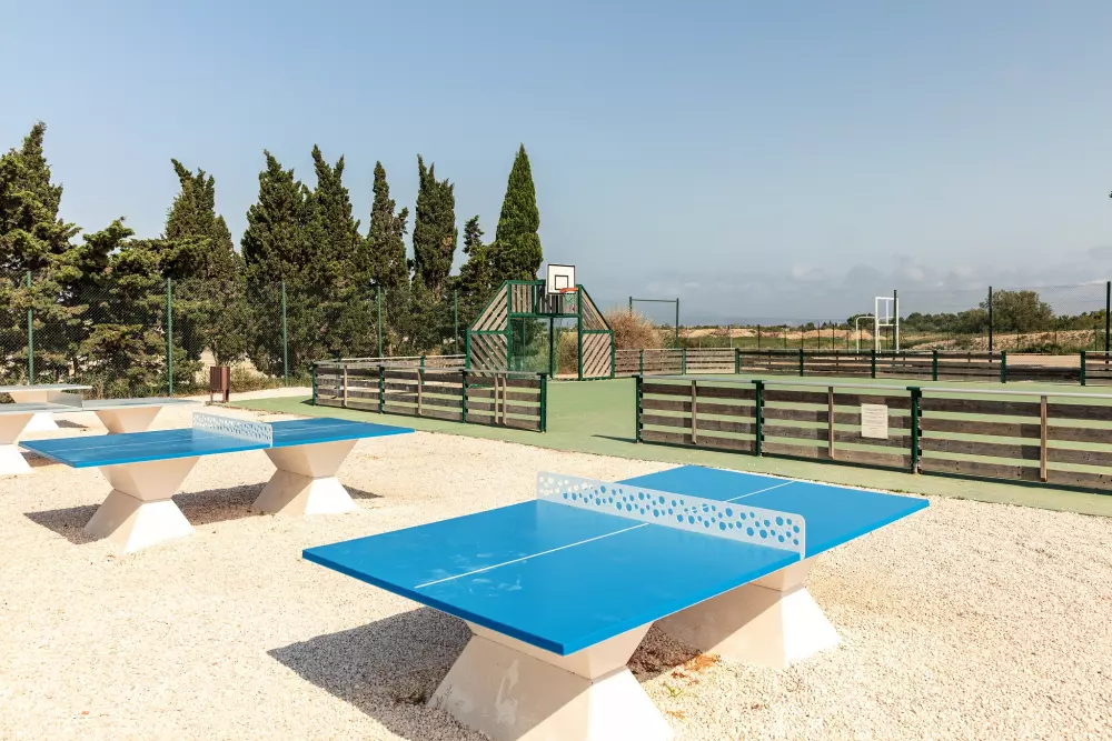 Camping Oasis California