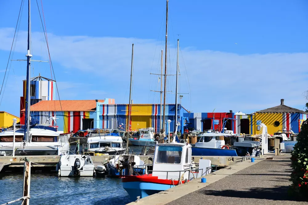 Camping Oasis California