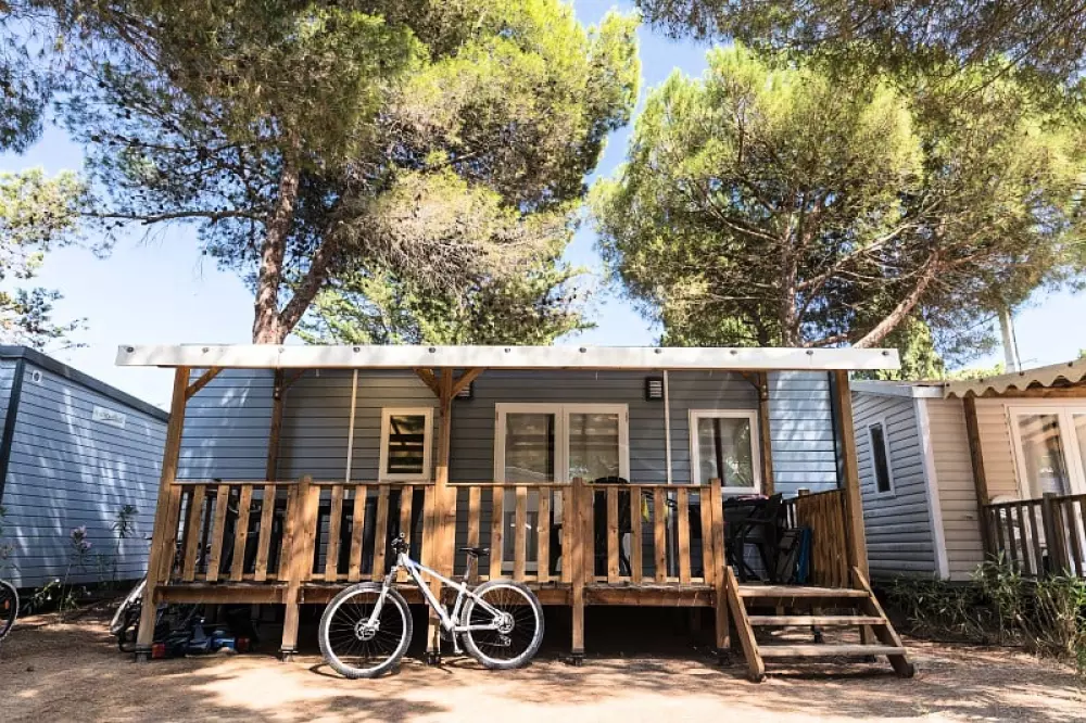 Camping Oasis California