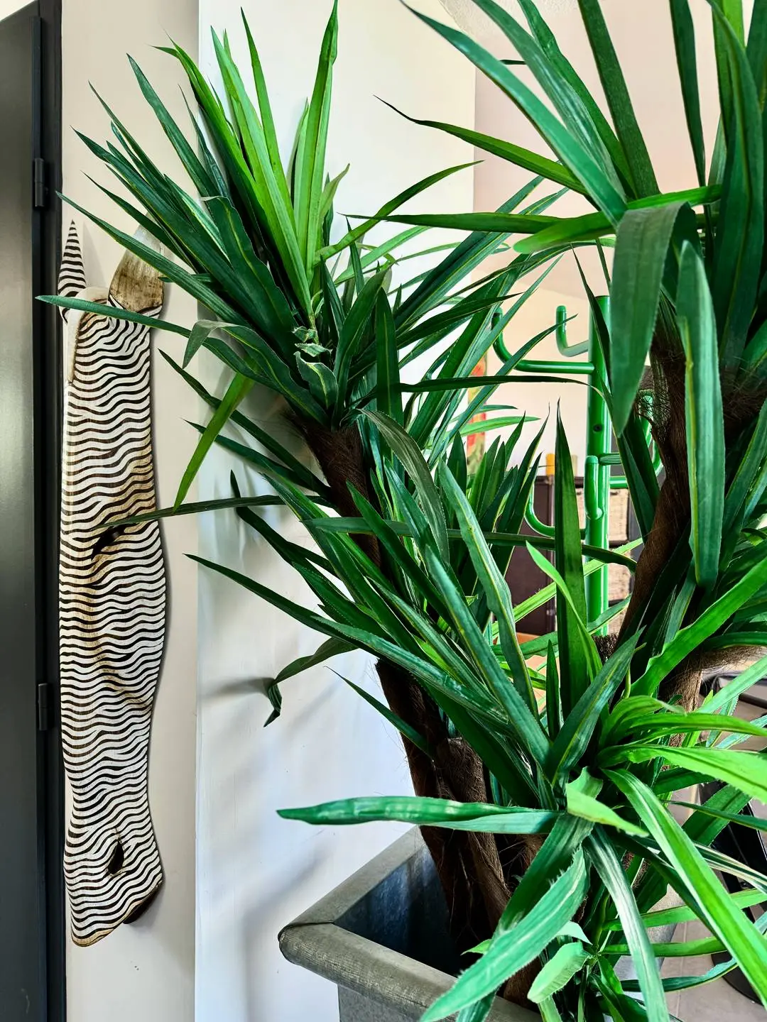 Residence 6biron65-le Barcares