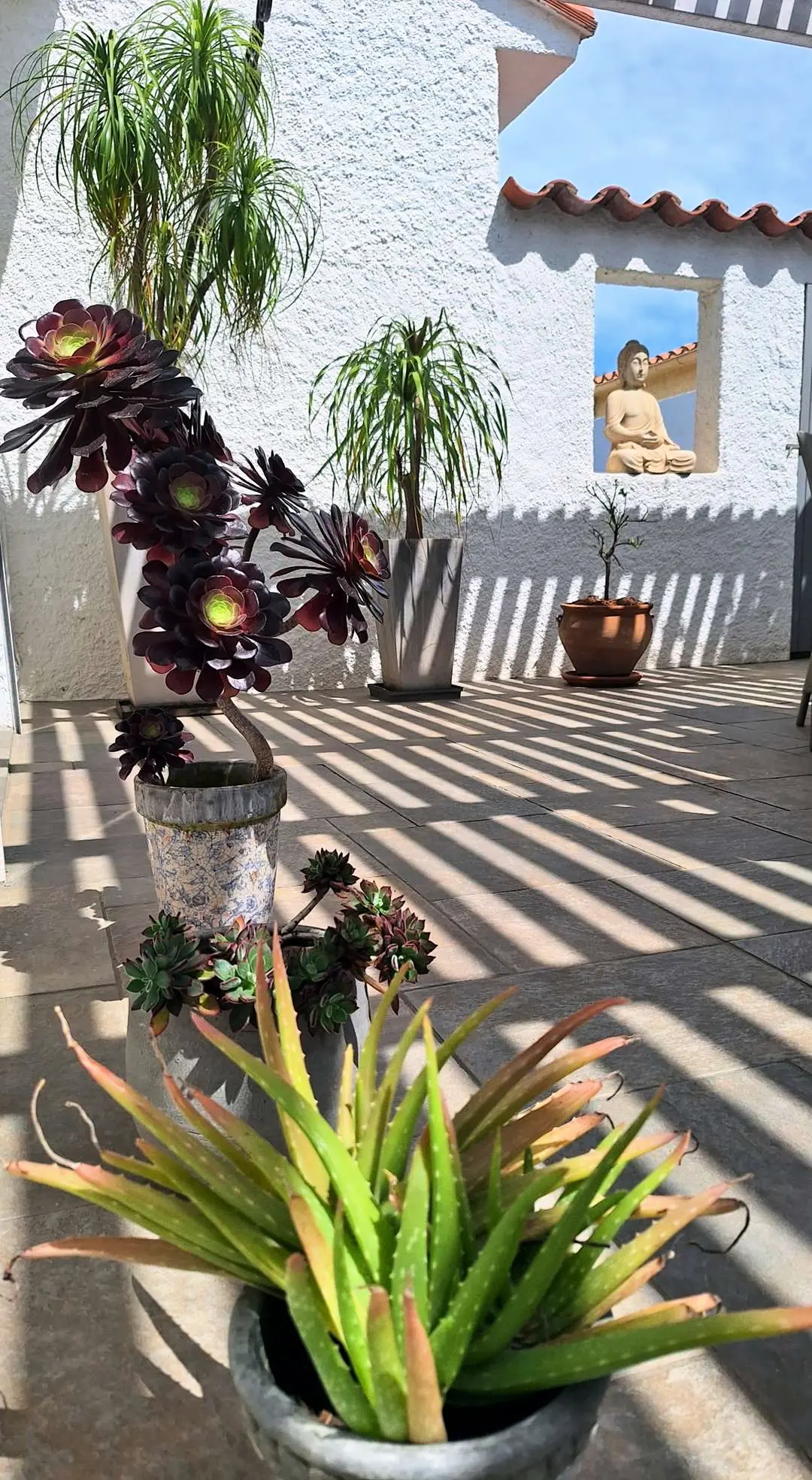 Residence 8albau26-le Barcares