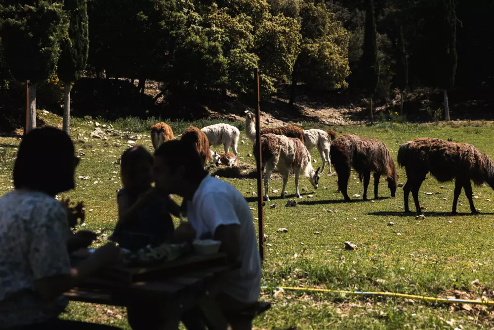Barroux - Parcel Tiny House
