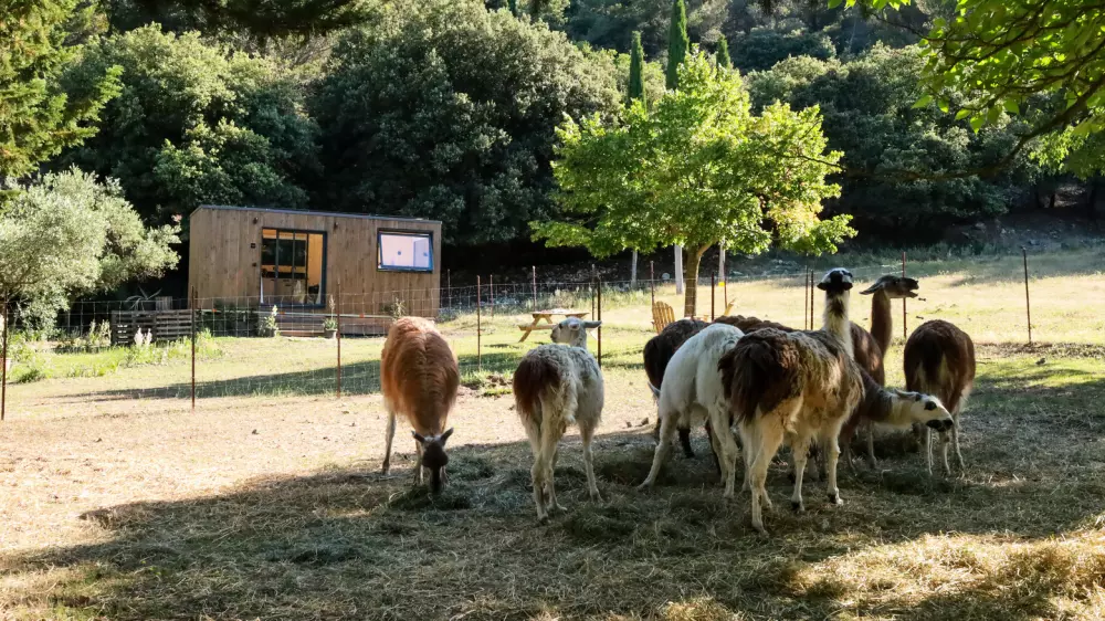 Barroux - Parcel Tiny House