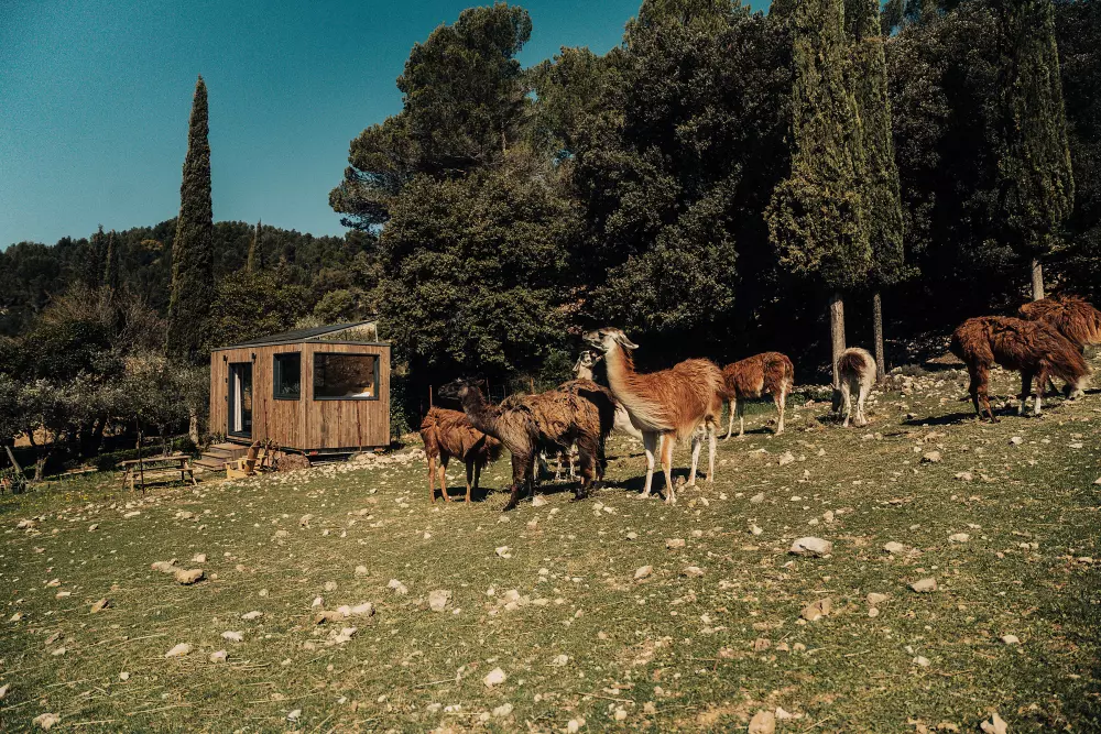 Barroux - Parcel Tiny House