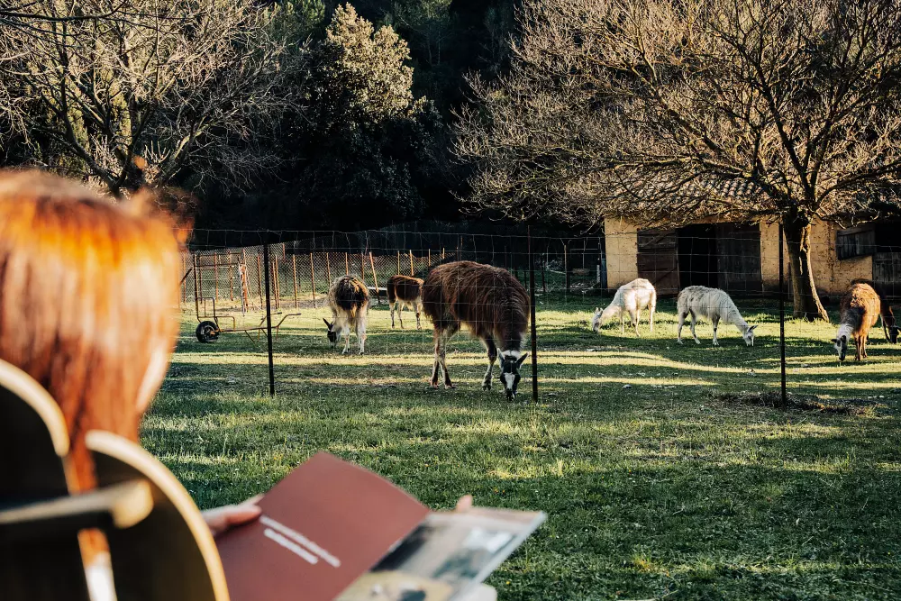 Barroux - Parcel Tiny House