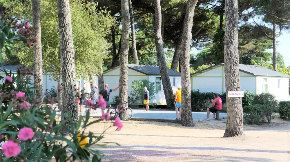Camping Le Suroit 41 Estrellas★
