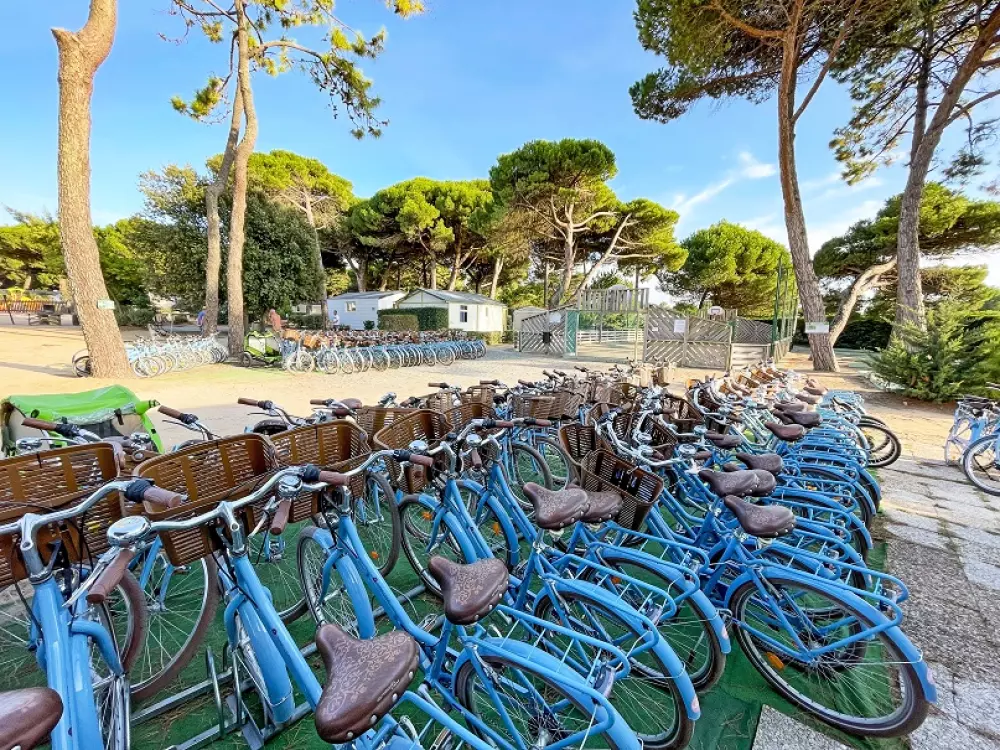 Camping Le Suroit 41 Estrellas★