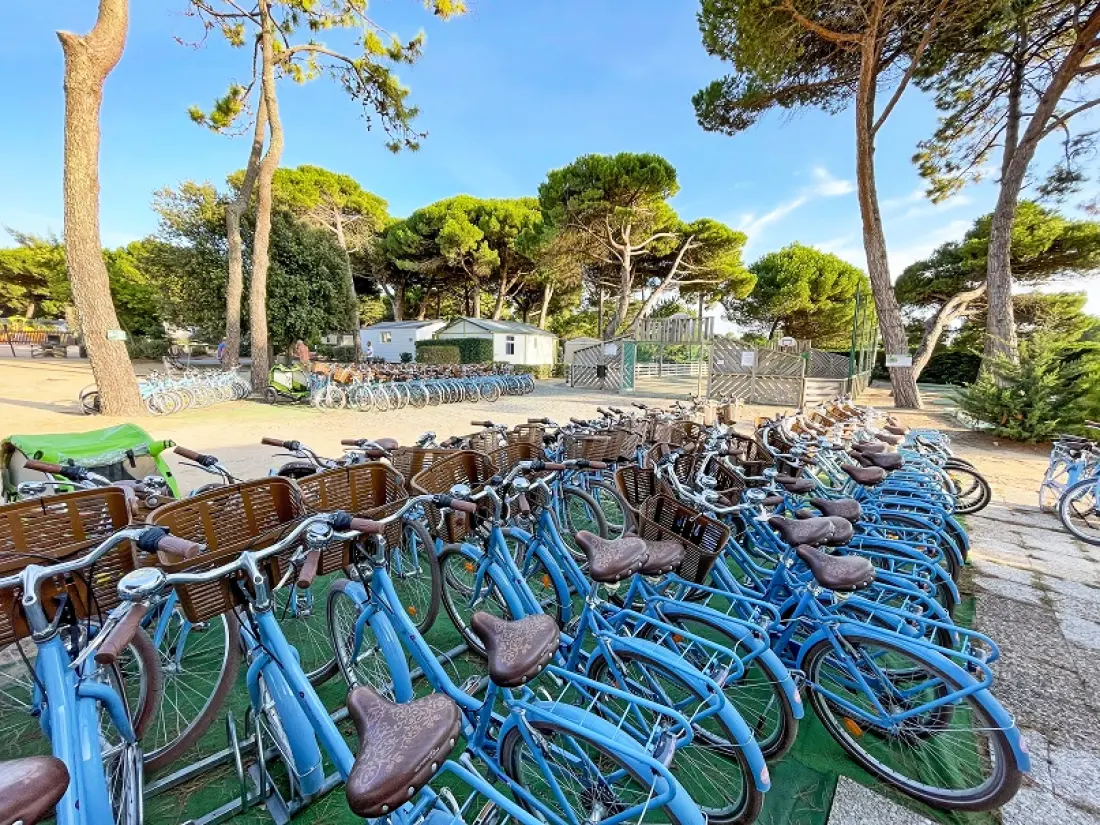 Camping Le Suroit 41 Estrellas★