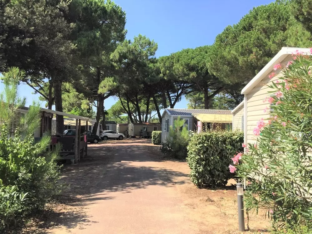 Camping Le Suroit 41 Estrellas★