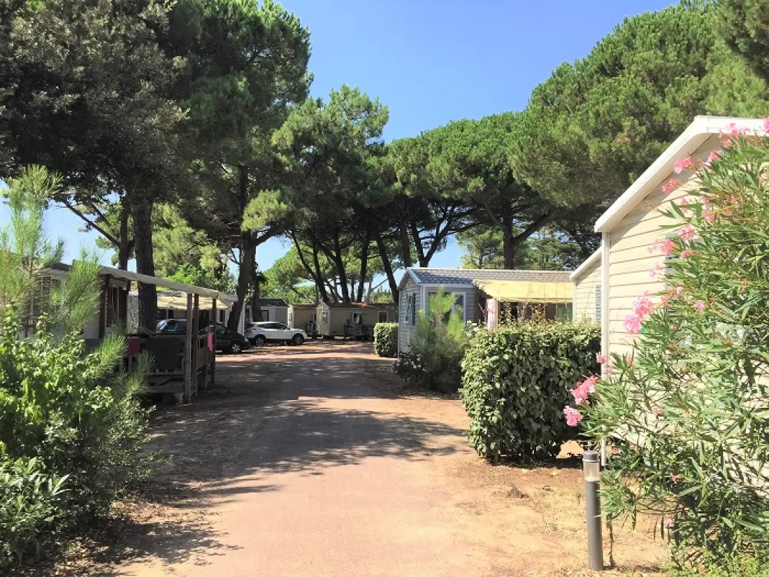 Camping Le Suroit 41 Estrellas★