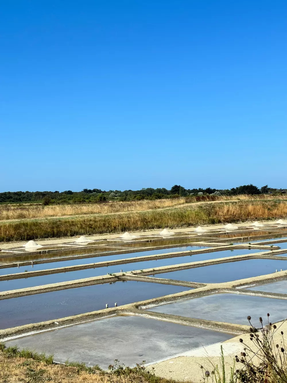 Camping LES VARENNES 4 Sterren★★★★