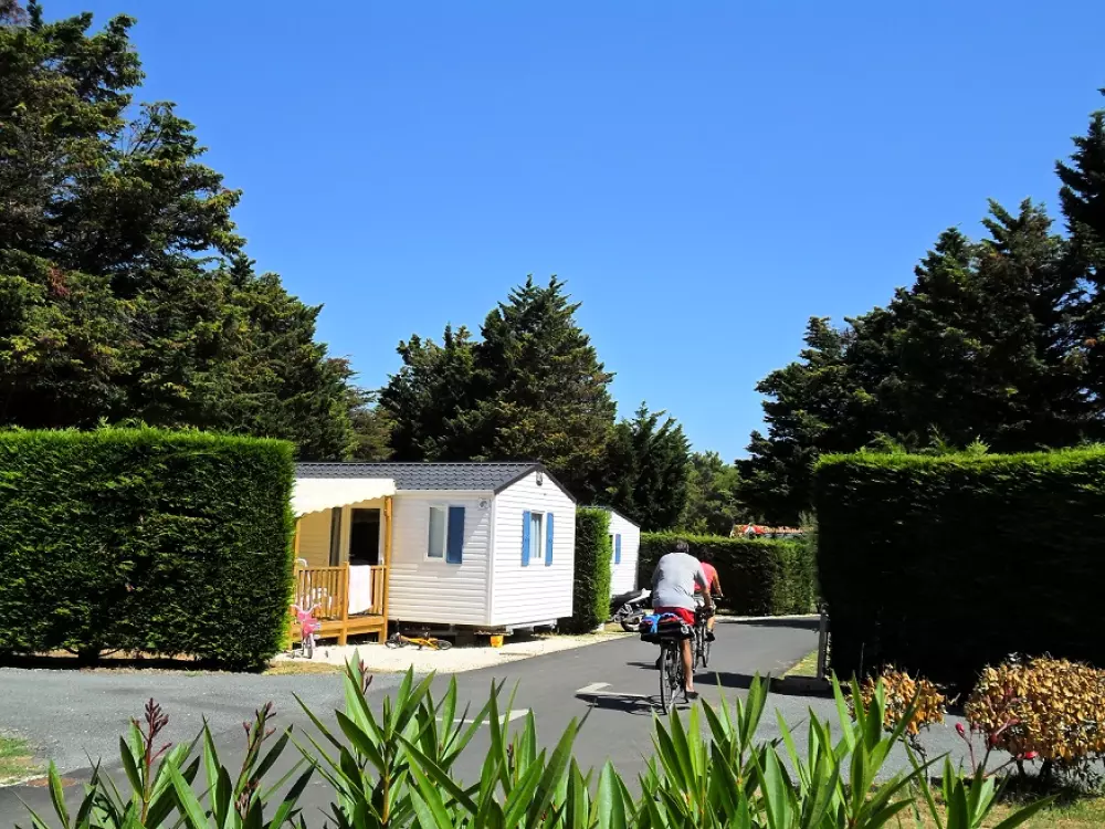 Camping Val de Loire en Ré 41 Estrellas★