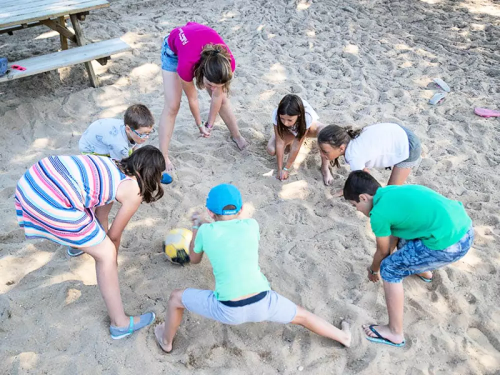 Camping Val de Loire en Ré 41 Estrellas★