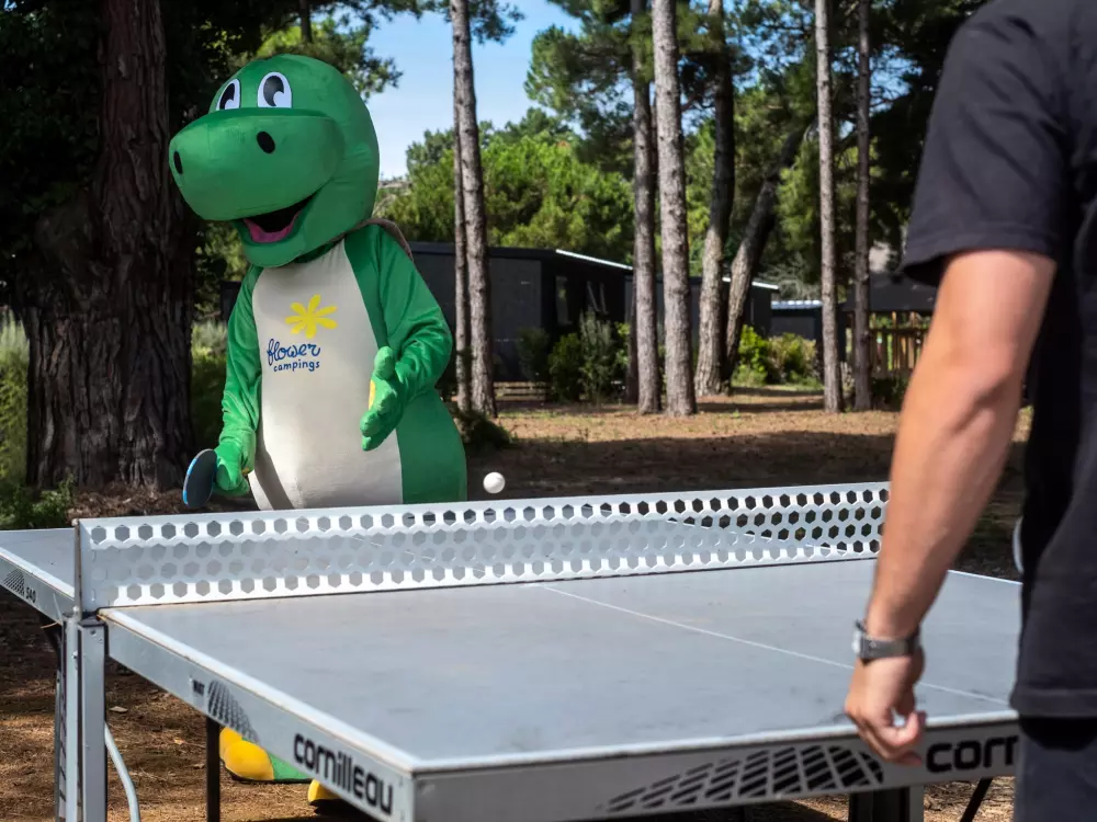 Flor Camping Tamarins Beach 4 Estrellas★★★★