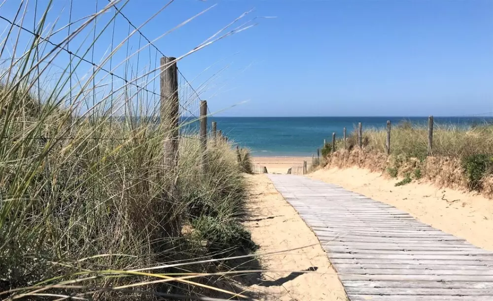 Flor Camping Tamarins Beach 4 Estrellas★★★★