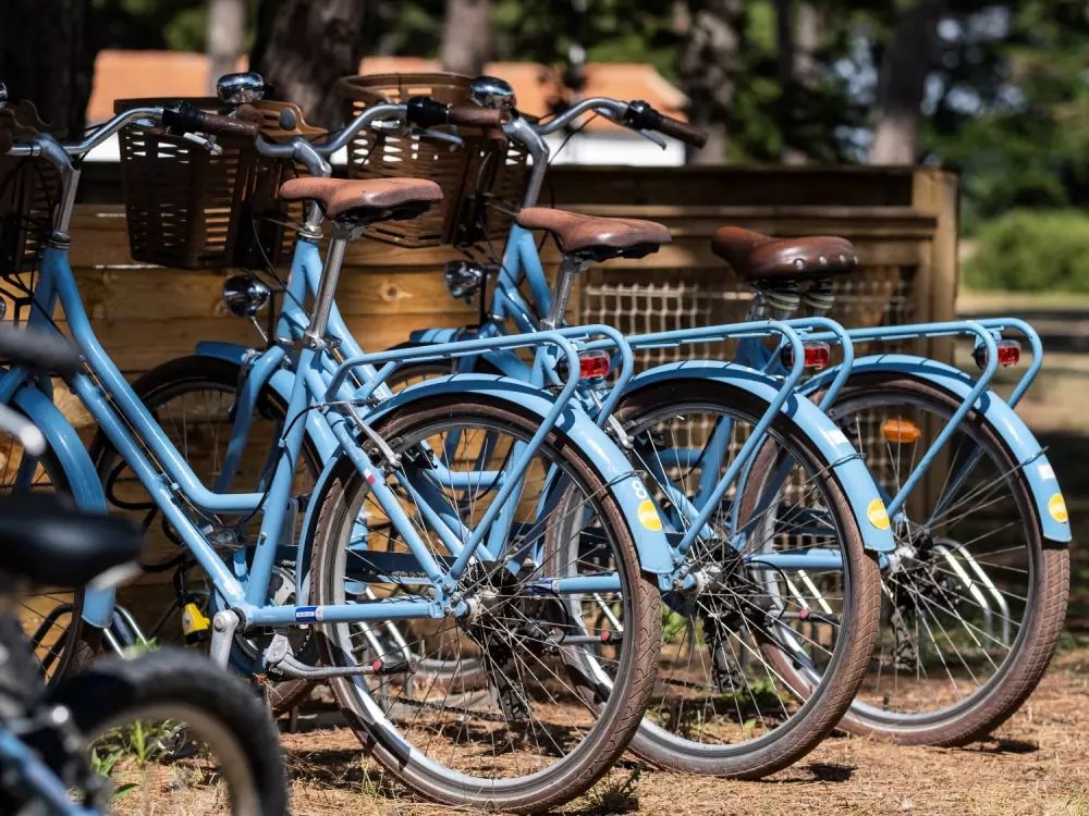 Flor Camping Tamarins Beach 4 Estrellas★★★★