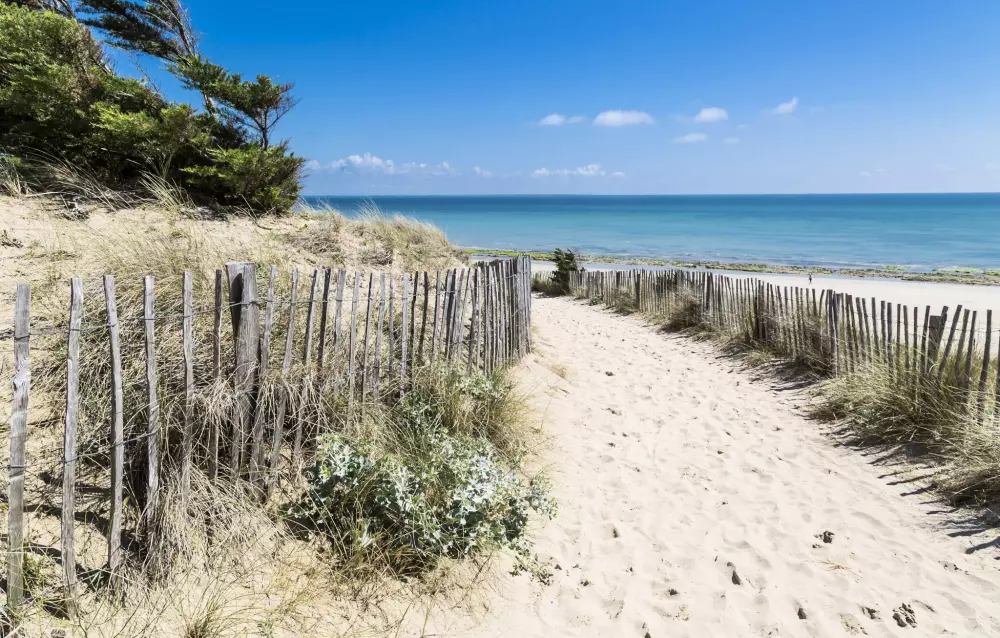 Flor Camping Tamarins Beach 4 Estrellas★★★★