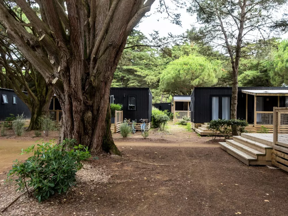 Flor Camping Tamarins Beach 4 Estrellas★★★★