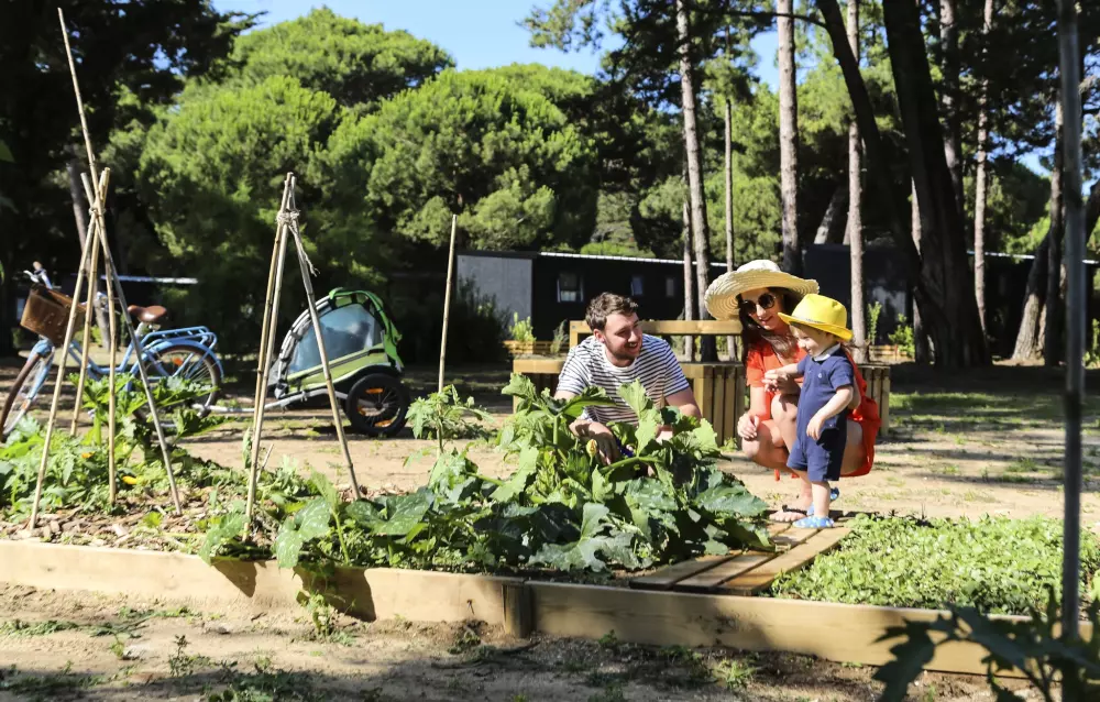 Flor Camping Tamarins Beach 4 Estrellas★★★★