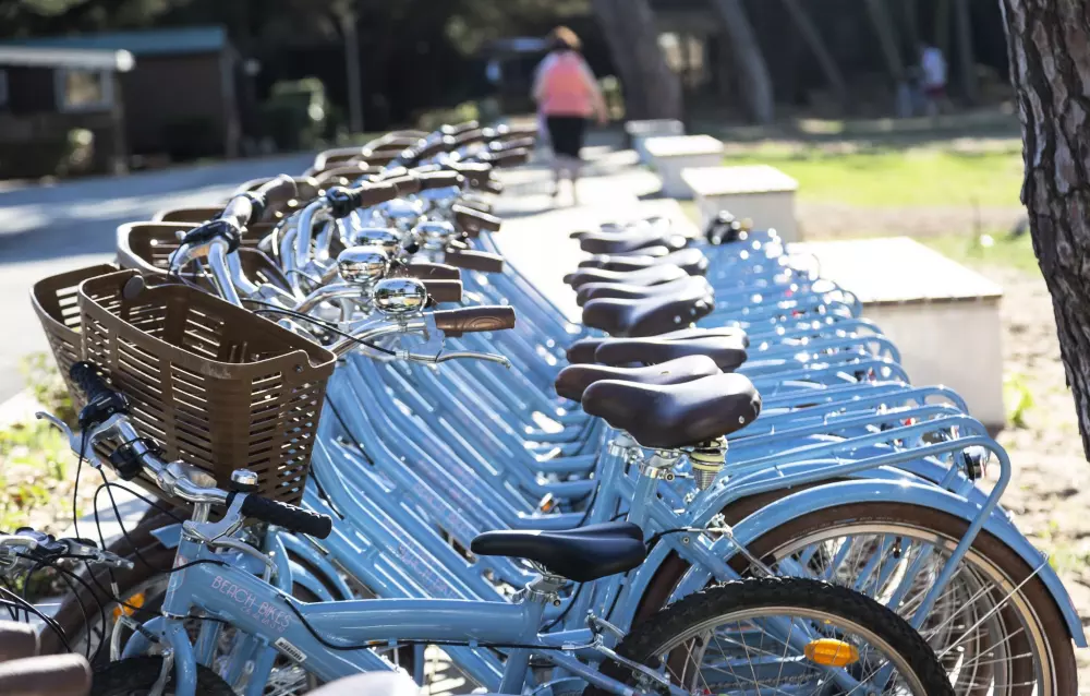 Flor Camping Tamarins Beach 4 Estrellas★★★★