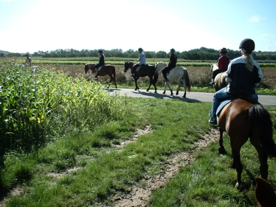 CAMPING DU PONT DE VICQ  3 étoiles★★★