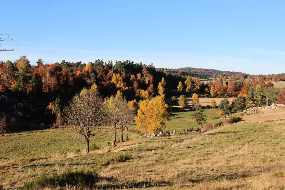 Gîte de France Das Haus von Castanet zwischen aubrac und Rand 3 Ohren