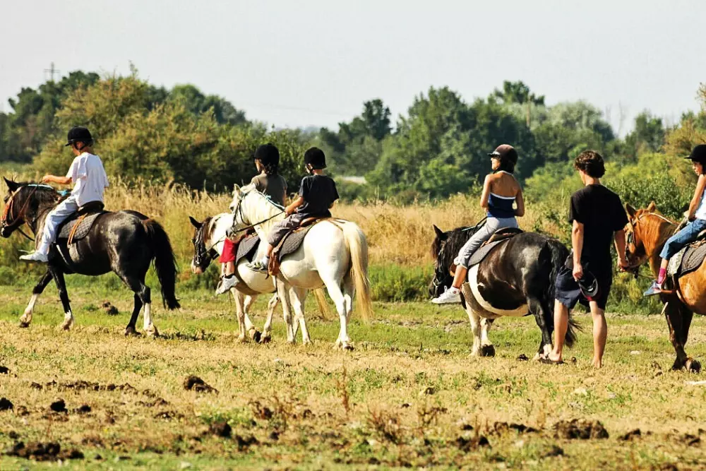 Camping Embruns d'Oléron