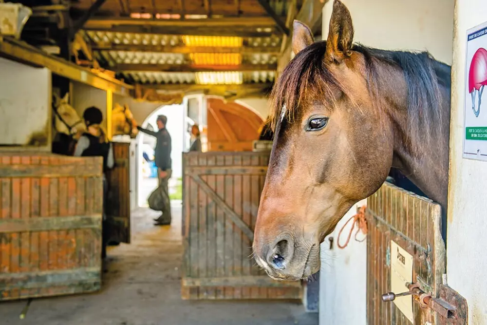 Camping Embruns d'Oléron