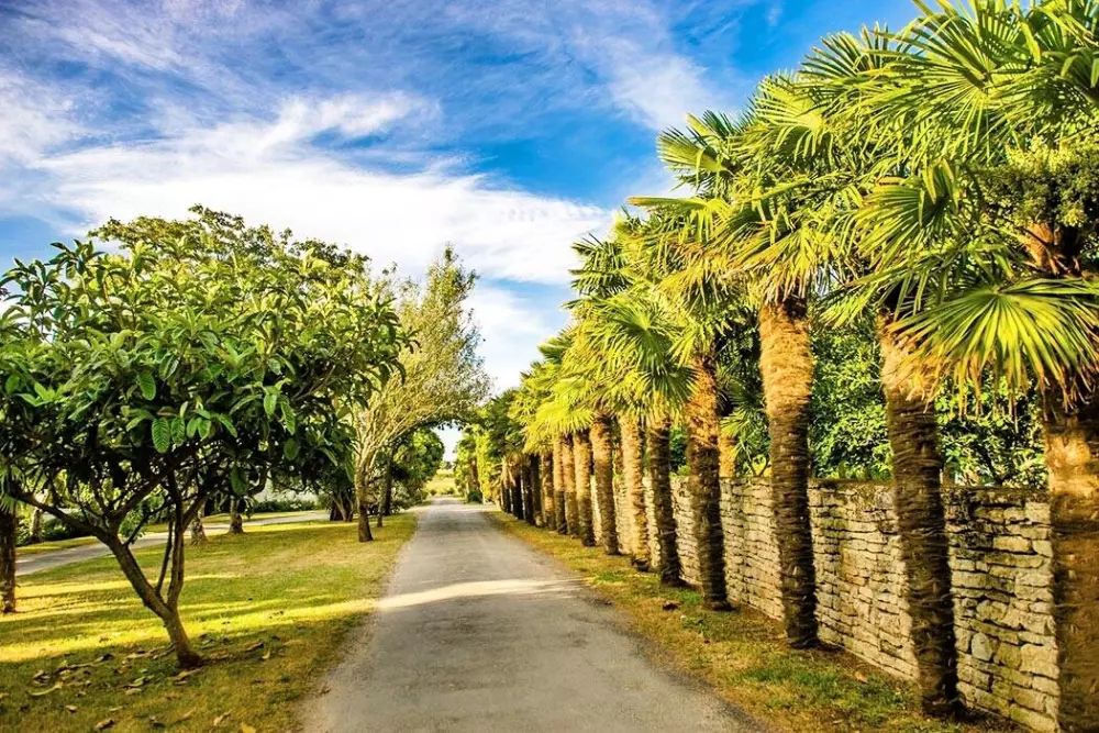 Camping Embruns d'Oléron