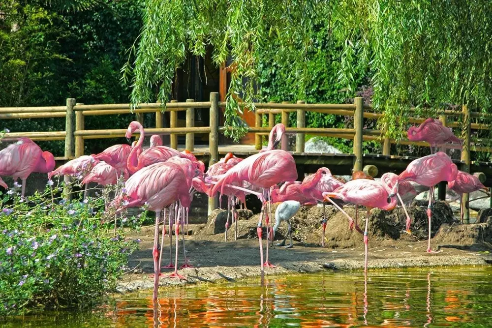 Camping Embruns d'Oléron