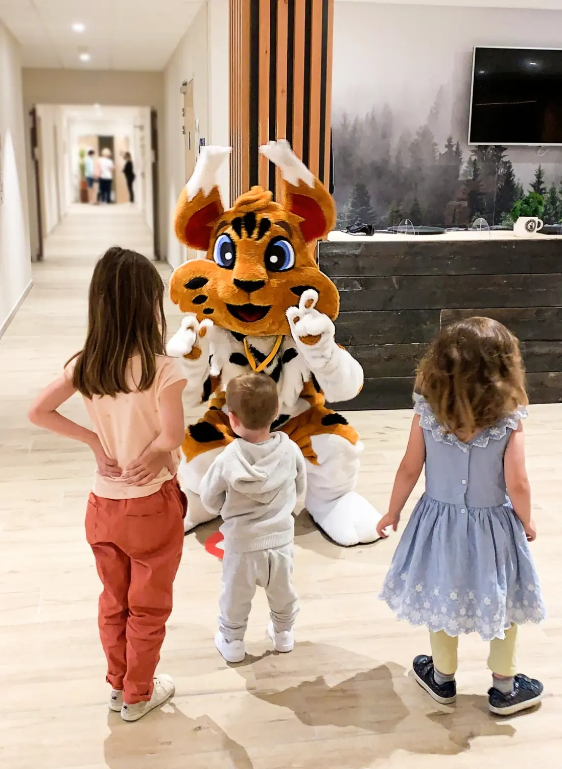 Residence Club MMV Gwiazda Sybelli.