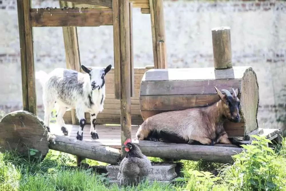 Campingplatz LE TARTERON 3 Sterne★★★