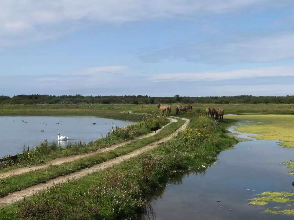 Campingplatz LE TARTERON 3 Sterne★★★