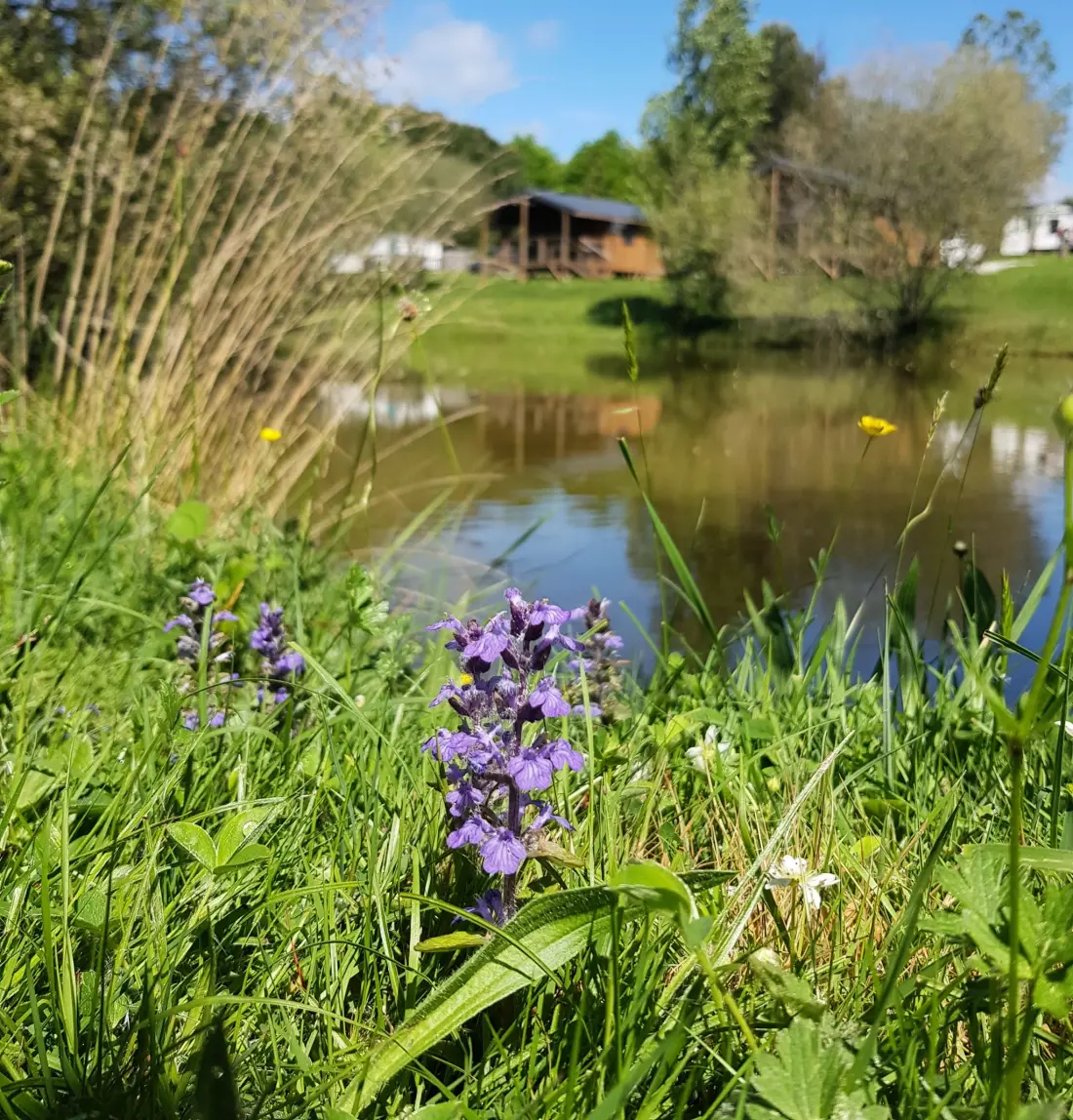 Campingplatz LA MOTTE 3 Sterne★★★