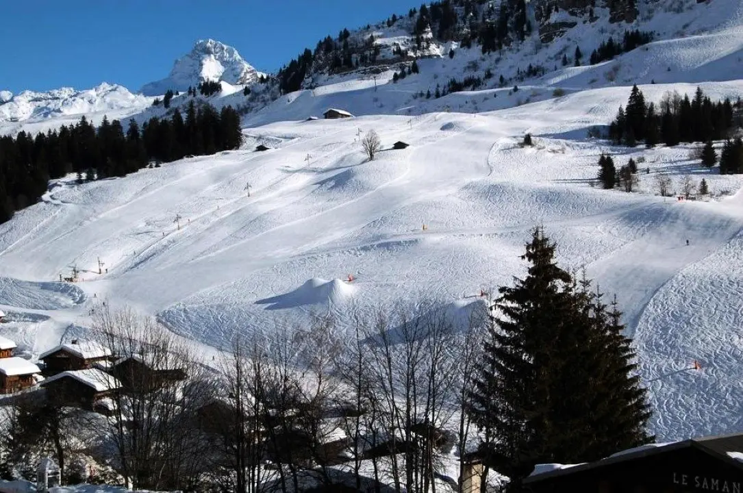 Chalet De Lessy A