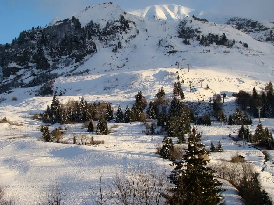 Chalet De Lessy B