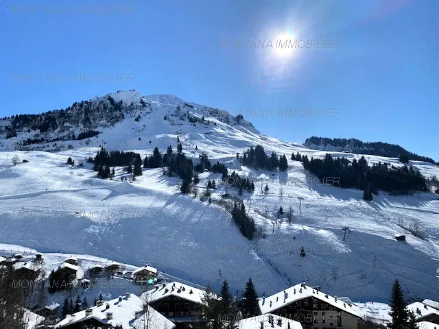 Chalet De Lessy C