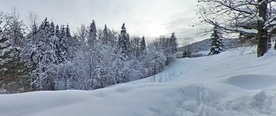 Chalet Le Solaret