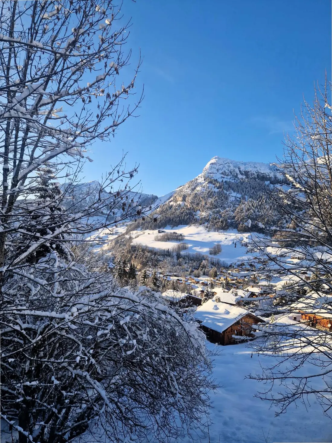 Chalet Les Amethysts