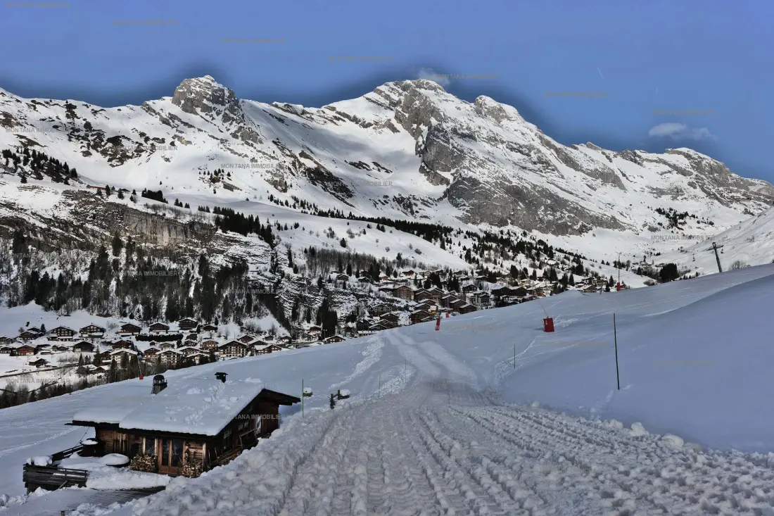 Chalet Les Amethysts