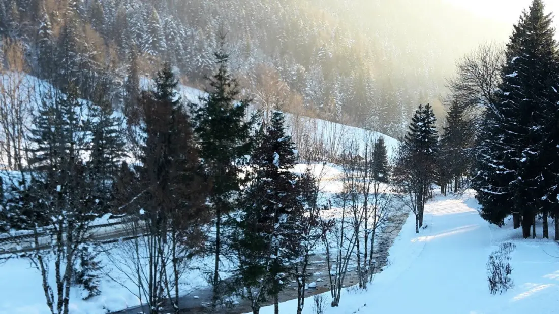 Residence Alpina C