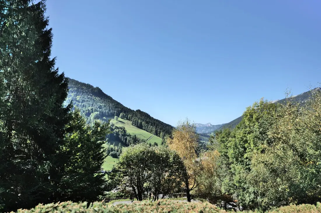 Residence Belvedere 3