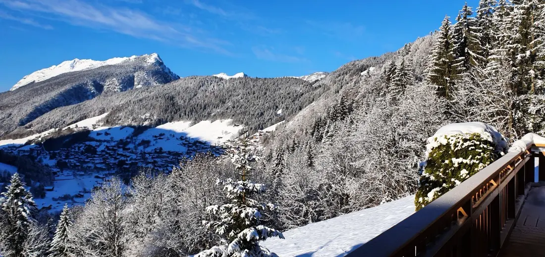 Chalet Socali