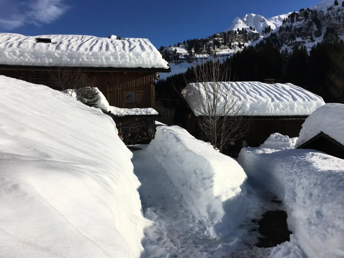 Snow Heart Residence 1724