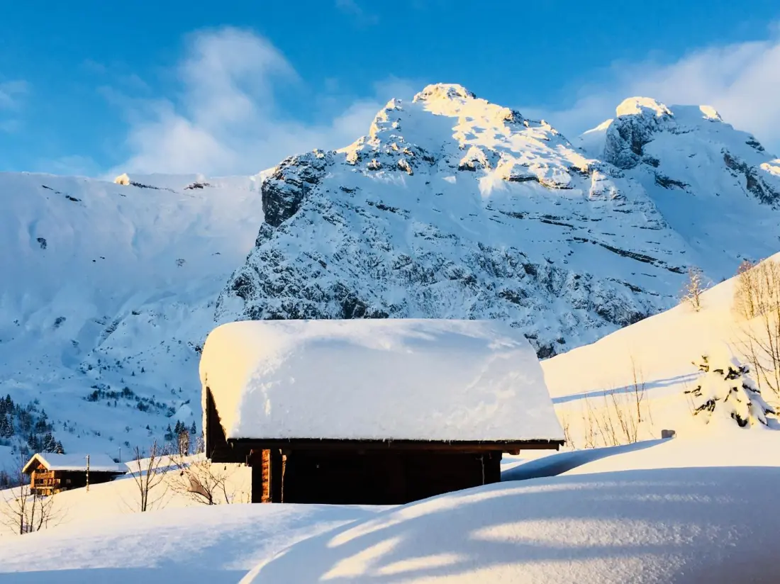 Snow Heart Residence 1724
